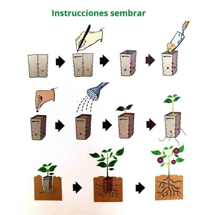 Instrucciones